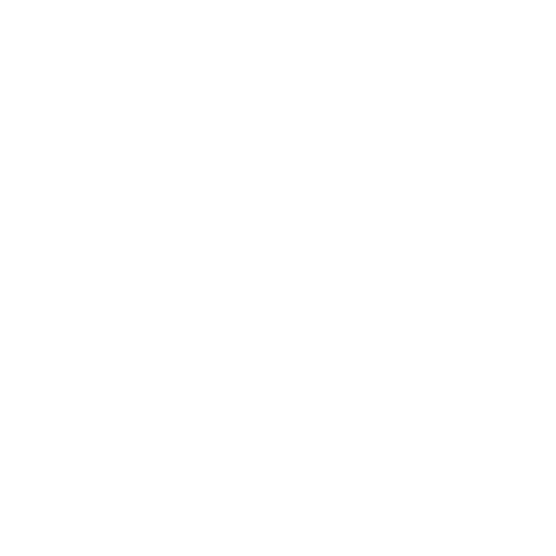 tiktok (2)